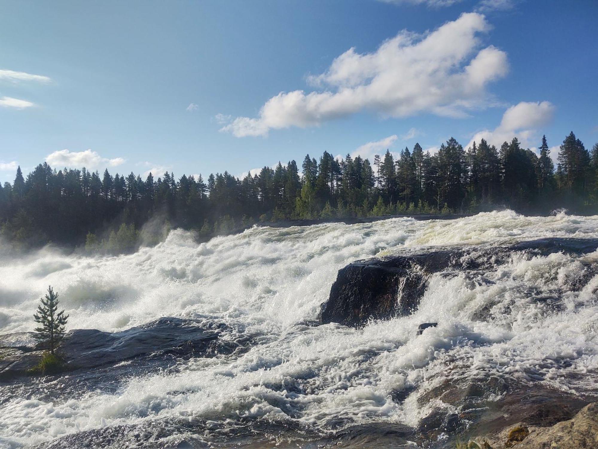 Selholmens Camping Älvsbyn Exterior foto
